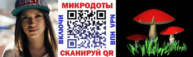 Псилоцибиновые грибы Magic Shrooms  что такое наркотик  Петропавловск-Камчатский 